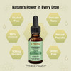 Lovita Bee Propolis Liquid Extract 500Mg, 5:1 Resin Drops With 18% Bioflavonoids, Alcohol- Antioxidant, Immune Support & Throat Soothing, Gluten-, Non-Gmo, 1 Fl Oz (30 Ml), 90 Day Supply
