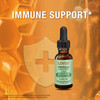 Lovita Bee Propolis Liquid Extract 500Mg, 5:1 Resin Drops With 18% Bioflavonoids, Alcohol- Antioxidant, Immune Support & Throat Soothing, Gluten-, Non-Gmo, 1 Fl Oz (30 Ml), 90 Day Supply