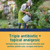 Neosporin + Maximum-Strength Triple Antibiotic Ointment with Pain Relief Dual Action First Aid Wound Care No-Sting Formula with Pramoxine HCl Bacitracin Zinc 1 oz