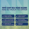 Nobi Nutrition Irish Sea Moss Capsules  With Organic Irish Moss, 300Mg Burdock Root & 500Mg Bladderwrack Powder  45-Day Supply  1300Mg Complex  Provides Iodine For Thyroid & Immune Support  90 Veggie Pills