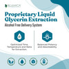 Rejuvica Health Nervefactor - Advanced Nerve Support Supplement - Liquid Delivery For Better Absorption - Acetyl-L-Carnitine, Alpha Lipoic Acid, Vitamin B12, Folic Acid, White Willow Bark & More