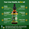 Vitaliver - Liver Health Supplement - Support Liver Cleanse & Detox - Liquid Delivery For Absorption - Milk Thistle, Artichoke, Chanca Piedra, Dandelion & More