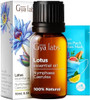 Gya Labs Lotus Essential Oil For Skin & Sweet Orange Essential Oil For Diffuser Set - 100% Natural Aromatherapy Grade Essential Oils Set - 2X0.34 Fl Oz - Gya Labs