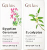 Gya Labs Egyptian Geranium Essential Oil For Skin & Eucalyptus Essential Oil For Diffuser Set - 100% Natural Aromatherapy Grade Essential Oils Set - 2X0.34 Fl Oz - Gya Labs