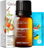 Gya Labs Tangerine Essential Oil For Diffuser & Peppermint Oil For Hair Set - 100% Natural Aromatherapy Grade Essential Oils Set - 2X0.34 Fl Oz - Gya Labs Gya Labs Tangerine Essential Oil For Diffuser & Peppermint Oil For Hair Set - 100% Natural Aromatherapy Grade Essential Oils Set - 2X0.34 Fl Oz - Gya Labs