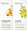 Gya Labs Tangerine Essential Oil For Diffuser & Lemon Essential Oil For Diffuser Set - 100% Natural Aromatherapy Grade Essential Oils Set - 2X0.34 Fl Oz - Gya Labs