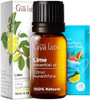 Gya Labs Cilantro Essential Oil Diffusers & Lime Essential Oil For Diffuser Set - 100% Natural Aromatherapy Grade Essential Oils Set - 2X0.34 Fl Oz - Gya Labs