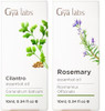 Gya Labs Cilantro Essential Oil Diffusers & Rosemary Oil For Hair Set - 100% Natural Aromatherapy Grade Essential Oils Set - 2X0.34 Fl Oz Gya Labs Cilantro Essential Oil Diffusers & Rosemary Oil For Hair Set - 100% Natural Aromatherapy Grade Essential Oils Set - 2X0.34 Fl Oz