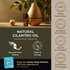 Gya Labs Cilantro Essential Oil Diffusers & Rosemary Oil For Hair Set - 100% Natural Aromatherapy Grade Essential Oils Set - 2X0.34 Fl Oz Gya Labs Cilantro Essential Oil Diffusers & Rosemary Oil For Hair Set - 100% Natural Aromatherapy Grade Essential Oils Set - 2X0.34 Fl Oz