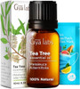 Gya Labs Lavender Oil Essential Oil For Diffuser & Tea Tree Oil For Skin Set - 100% Natural Aromatherapy Grade Essential Oils Set - 2X0.34 Fl Oz - Gya Labs Gya Labs Lavender Oil Essential Oil For Diffuser & Tea Tree Oil For Skin Set - 100% Natural Aromatherapy Grade Essential Oils Set - 2X0.34 Fl Oz - Gya Labs