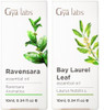Gya Labs Ravensara Essential Oil Diffuser & Bay Oil Essential For Hair Set - 100% Natural Essential Oils Set - 2X0.34 Fl Oz - Gya Labs