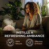 Gya Labs Ravensara Essential Oil Diffuser & Bay Oil Essential For Hair Set - 100% Natural Essential Oils Set - 2X0.34 Fl Oz - Gya Labs