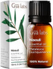 Gya Labs Niaouli Essential Oil Diffuser & Angelica Root Oil For Uplifts Mood Set - 100% Natural Aromatherapy Grade Essential Oils Set - 2X0.34 Fl Oz - Gya Labs