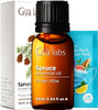 Gya Labs Spruce Essential Oil For Diffuser & Silver Fir Essential Oil For Diffuser Set - 100% Natural Aromatherapy Grade Essential Oils Set - 2X0.34 Fl Oz - Gya Labs