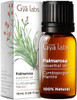 Gya Labs Palmarosa Essential Oil For Diffuser & Geranium Oil For Skin Set - 100% Natural Aromatherapy Grade Essential Oils Set - 2X0.34 Fl Oz - Gya Labs