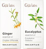 Gya Labs Ginger Oil For Belly Fat & Pain & Eucalyptus Essential Oil For Diffuser Set - 100% Natural Aromatherapy Grade Essential Oils Set- Gya Labs
