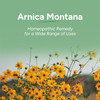 Ollois Arnica Montana 30X Organic, Lactose-, Kosher Homeopathic Medicine, 80 Pellets (Pack Of 3) Ollois Arnica Montana 30X Organic, Lactose-, Kosher Homeopathic Medicine, 80 Pellets (Pack Of 3)