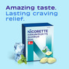 Nicorette 4 Mg Gum To Help Quit - White Ice Mint Flavored Stop Aid, 100 Count