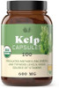 Complete Natural Products Raw Sea Kelp Powder Supplement - 600Mg Capsules 100 Pills Powdered Raw Seaweed & Thyroid Support Supplement
