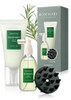 Aromatica Rosemary Scalp Care  Set - Hydrating Scalp Treatment With Rosemary Enhancer Rosemary Scalp Scrub And Dual Scalp Brush -  From Sulfate Silicone And Paraben Korean Hair Care.