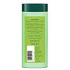 Biotique Bio Neem Margosa Anti Dandruff Shampoo And Conditioner 180Ml Biotique Bio Neem Margosa Anti Dandruff Shampoo And Conditioner 180Ml