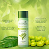 Biotique Margosa Anti-Dandruff Shampoo & Conditioner 190Ml/ 6.42 Fl.Oz I Leaves Hair Fresh Lustrous And Full Of Natural Body