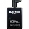 Blackwood For Men Active Man Daily Shampoo - Thickening & Clarifying Shampoo For Normal To Oily Hair Or Scalp - Fights Hair Loss - Natural Vegan Formula - Sulfate  With Ginseng & Aloe Vera (17Oz)
