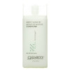 Giovanni Direct Leave-In Treatment Conditioner 2 Fluid Ounce