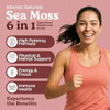 Atlantic Naturals Sea Moss Gummies With Lions Mane Mushroom - Sea Moss Gel Alternative With Irish Moss Reishi Cordyceps Chaga & Turkey Tail Supplement - Focus Gummy Without Coffee- 60 Ct Atlantic Naturals Sea Moss Gummies With Lions Mane Mushroom - Sea Moss Gel Alternative With Irish Moss Reishi Cordyceps Chaga & Turkey Tail Supplement - Focus Gummy Without Coffee- 60 Ct