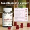 Atlantic Naturals Sea Moss Gummies With Lions Mane Mushroom - Sea Moss Gel Alternative With Irish Moss Reishi Cordyceps Chaga & Turkey Tail Supplement - Focus Gummy Without Coffee- 60 Ct Atlantic Naturals Sea Moss Gummies With Lions Mane Mushroom - Sea Moss Gel Alternative With Irish Moss Reishi Cordyceps Chaga & Turkey Tail Supplement - Focus Gummy Without Coffee- 60 Ct