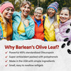 Barlean'S Olive Leaf Complex Supplements Immune Support Softgels 95Mg Oleuropein Antioxidants Heart Health And Immunity Supplement Pills 120 Count