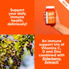 Goli Immune Vitamin Gummy - 60 Count - Elderberry Vitamin C D & Zinc Vegan Non-Gmo Gluten- & Gelatin- Pack Of 1