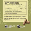 Herbamama Pine Bark Extract Capsules - 400Mg French Maritime Pine Bark Extract Powder For Antioxidant Support - Vegan Non-Gmo Pinus Pinaster Supplement