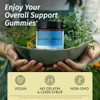 Herbamama Adrenal Complex And Rhodiola Kit - Bundle Of Adrenal Support Complex & Rhodiola Rosea Capsules - Vegan Non-Gmo Gelatin- - 2 Pack Herbamama Adrenal Complex And Rhodiola Kit - Bundle Of Adrenal Support Complex & Rhodiola Rosea Capsules - Vegan Non-Gmo Gelatin- - 2 Pack