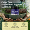Herbamama Pine Bark Extract Gummies - 300Mg French Maritime Pine Bark Tree For Antioxidant Support - Vegan Non-Gmo Pinus Pinaster Supplement - 60 Pectin-Based Blueberry-Flavored Chews Herbamama Pine Bark Extract Gummies - 300Mg French Maritime Pine Bark Tree For Antioxidant Support - Vegan Non-Gmo Pinus Pinaster Supplement - 60 Pectin-Based Blueberry-Flavored Chews