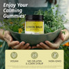 Herbamama Lemon Balm And Ahwagandha Kit - Bundle Of Lemon Balm Gummies & Ashwagandha Liquid Drops 2 Fl Oz - Vegan Non-Gmo Alcohol & Gelatin- - 2 Pack Herbamama Lemon Balm And Ahwagandha Kit - Bundle Of Lemon Balm Gummies & Ashwagandha Liquid Drops 2 Fl Oz - Vegan Non-Gmo Alcohol & Gelatin- - 2 Pack