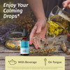 Herbamama Ashwagandha Liquid Drops - Vegan Ashwagandha Root Extract For Calm & Mood Support - Non-Gmo Alcohol & Sugar- Calming Supplement For Adults 28-Day Supply Herbamama Ashwagandha Liquid Drops - Vegan Ashwagandha Root Extract For Calm & Mood Support - Non-Gmo Alcohol & Sugar- Calming Supplement For Adults 28-Day Supply