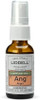 Liddell Homeopathic Letting Spray Go Anger 1 Fluid Ounce