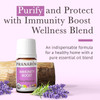 Pranarom - Immunity Boost Essential Oil Blend (5Ml) - Lavender Eucalyptus And Tea Tree - 100% Pure Essential Oil For Diffusing And Wellness  Usda And Ecocert  Organic Pranarom - Immunity Boost Essential Oil Blend (5Ml) - Lavender Eucalyptus And Tea Tree - 100% Pure Essential Oil For Diffusing And Wellness  Usda And Ecocert  Organic