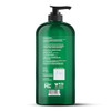 Botanic Hearth Tea Tree Wash 16Ox With Rosemary Mint 2 Oz With Tea Tree Shampoo Conditioner 32 Oz And Rosemary Oil Combo Set