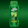 Irish Spring Body Wash Aloe Vera 18 Fl Oz (Pack Of 4)