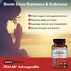 KSM-66 Ashwagandha by DailyNutra - 600mg Organic Root Extract - High Potency Supplement with 5% Withanolides