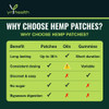 yrhealth Hemp Patches Max Strength Topical Hemp  Effective Up to 36 Hours  Vegan & Easy to Use  30 Topical Patches