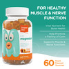 Zahler Chapter One Magnesium Gummies Great Tasting Magnesium for Kids Calm Kids Magnesium Magnesium Gummies for Women and Men Certified Kosher (Peach)