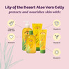 Lily Of The Desert Gelly Moisturizer - 99% Organic Aloe Vera Gel for Skin After Sun Care with Aloe Vitamin E Oil and Vitamin C for Sunburn Relief 16 Fl Oz