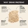 JUST INGREDIENTS Protein Powder | Vanilla Protein Powder Made with 100% Grass Fed Non Denatured Whey | Four Different Protein Sources from Organic Whole Food Ingredients | 15 Servings | 22g Protein