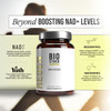 BIOSTACK NAD Regen (30 Days Supply) - Advanced NAD+ Supplement with NAD3 üth Spermidine Resveratrol Niacinamide | NMNH Alternative | Anti Aging Longevity & Cellular Health Vitamin B3 Complex