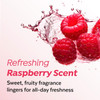 A’PIEU Raspberry Vinegar Shampoo & Hair Vinegar Rinse Conditioner Set – Scalp Clarifying, Buildup Removal, Refresing Finish, and pH-Balancing. Korean Hair Care (16.9 fl oz / 6.76 fl oz)