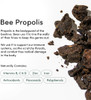 Beekeeper's Naturals Propolis Throat Spray by Beekeeper's Naturals - 95% Bee Propolis Extract, Natural Immune Support & Sore Throat Relief - Antioxidants, Keto, Paleo, Gluten-Free