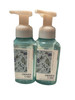 Bath And Body Works Gentle Foaming Hand Soap 8.75 Ounce 2-Pack (Mahogany Teakwood)
